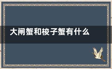 大闸蟹和梭子蟹有什么区别 大闸蟹和梭子蟹都是螃蟹有什么区别呢,大闸蟹和梭子蟹哪个营养价值高